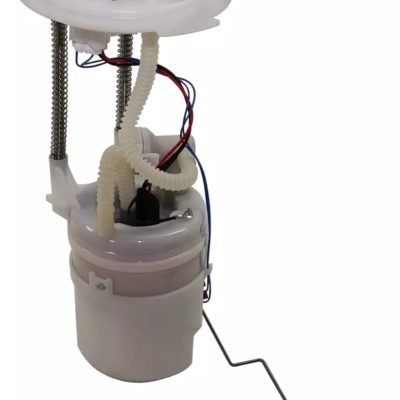 WhatsApp Image 2024-09-08 at 5.57.35 PM (1)